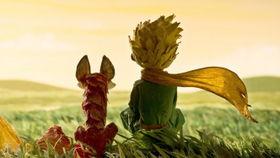 小王子电影国语版,探寻爱与成长的奇幻之旅