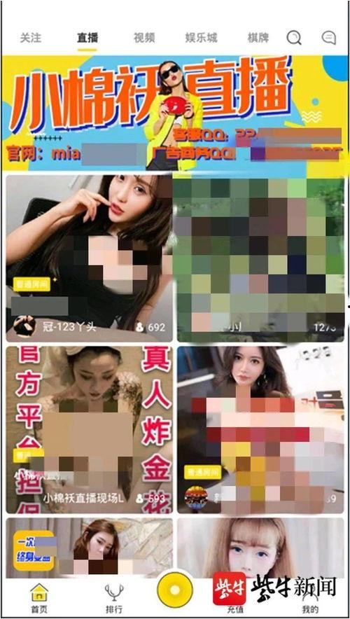 品茶直播间app成人,解锁成人生涯的茶香雅韵